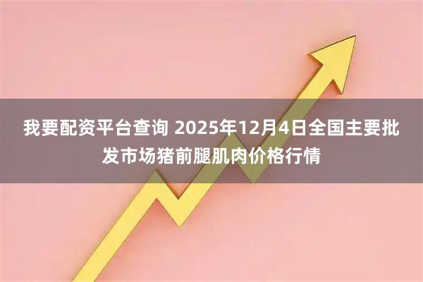 我要配资平台查询 2025年12月4日全国主要批发市场猪前腿肌肉价格行情